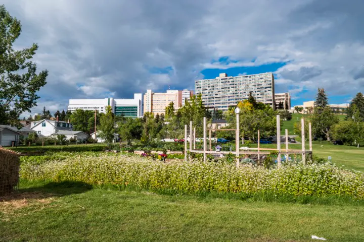 Parkdale community in Calgary